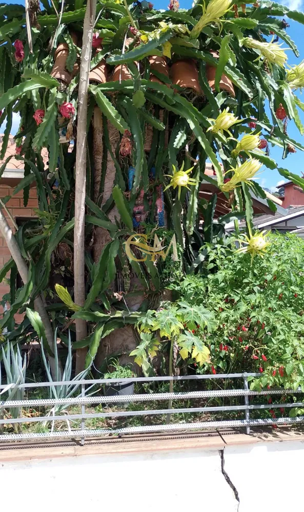 Casa, 5 quartos, 500 m² - Foto 16