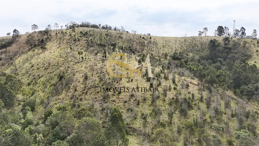 Terreno, 3 hectares - Foto 8