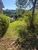 Terreno, 200 m² - Foto 2