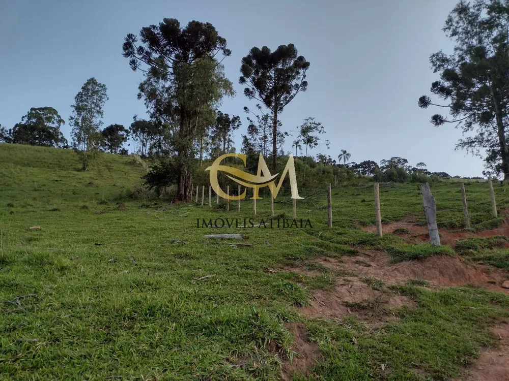 Terreno, 2 hectares - Foto 3