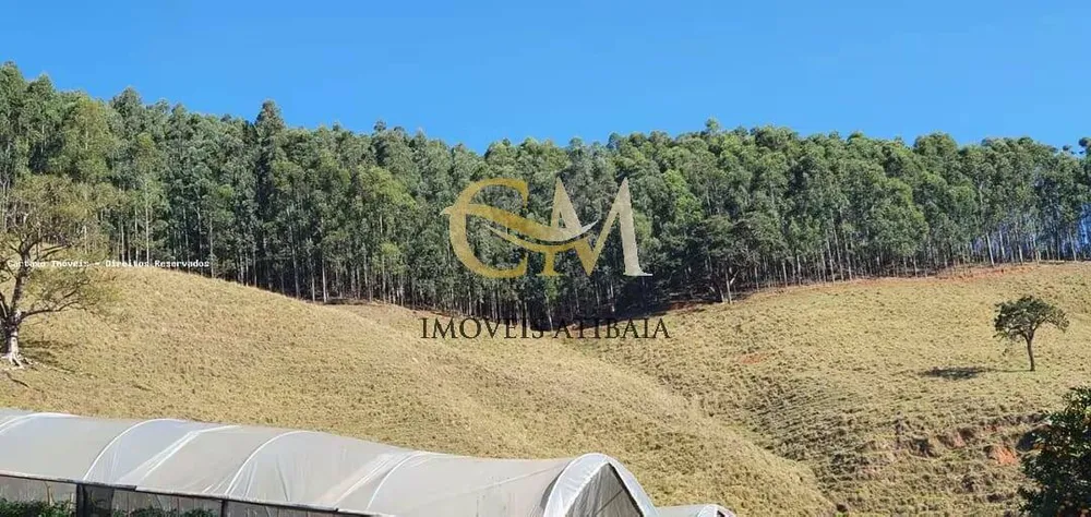 Sítio, 3 quartos, 21 hectares - Foto 13