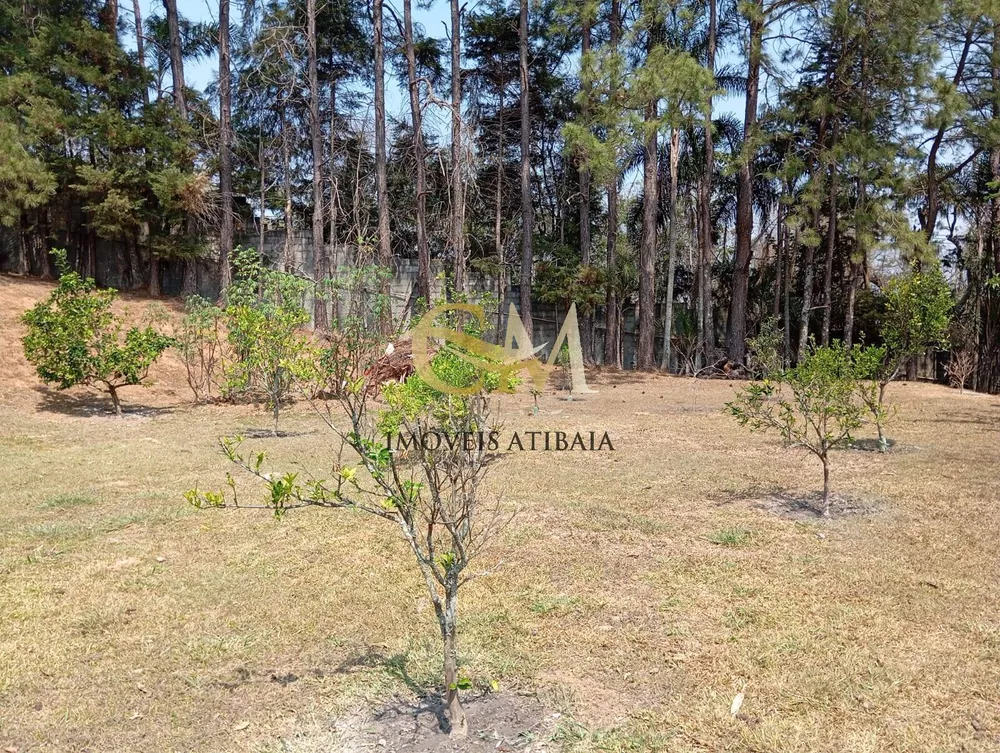 Casa, 7 quartos, 12000 m² - Foto 12