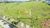 Terreno, 3007 m² - Foto 3