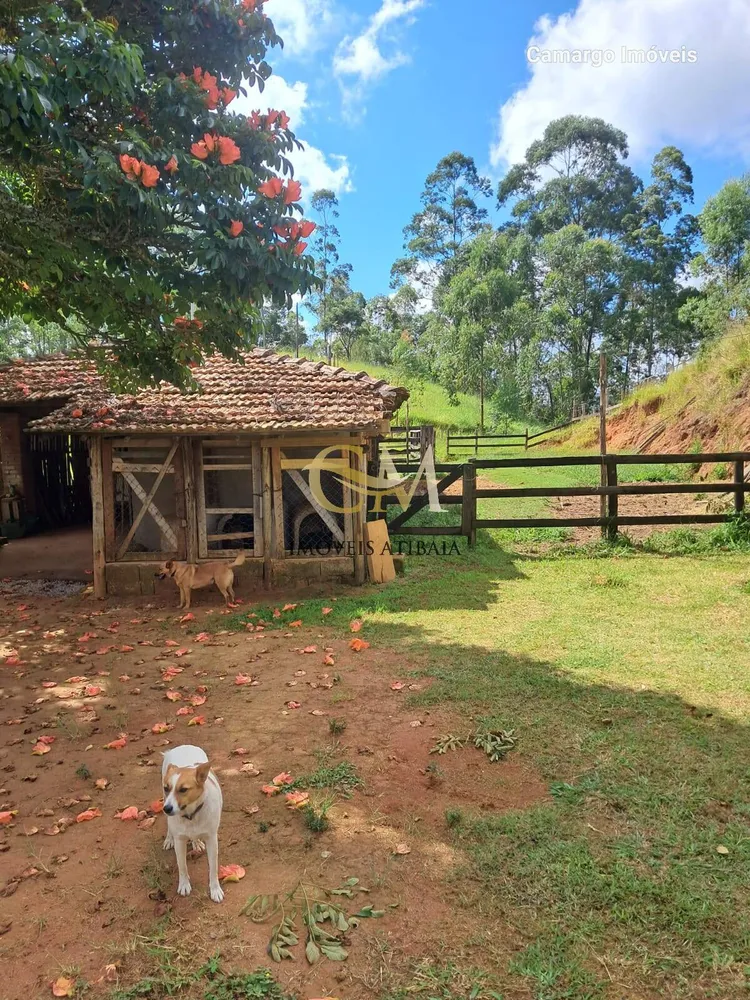 Sítio, 4 quartos, 7 hectares - Foto 6