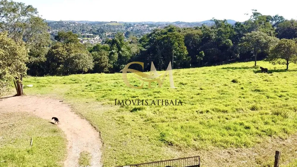 Terreno, 3 hectares - Foto 4