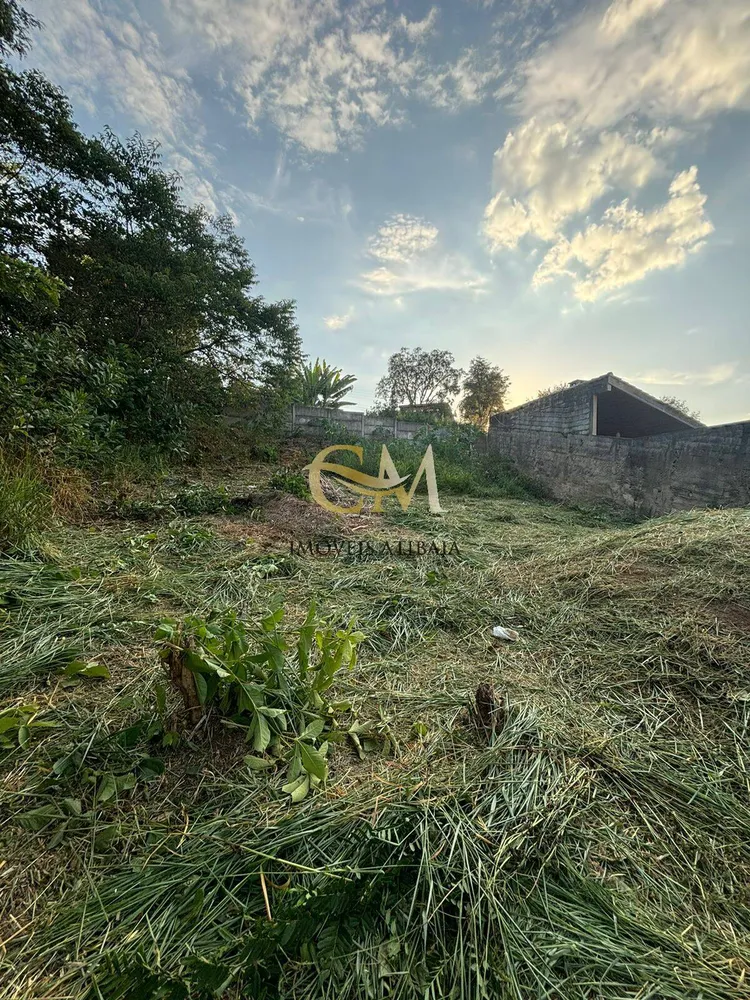 Terreno, 290 m² - Foto 6