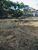 Terreno, 769 m² - Foto 3