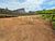 Terreno, 690 m² - Foto 2