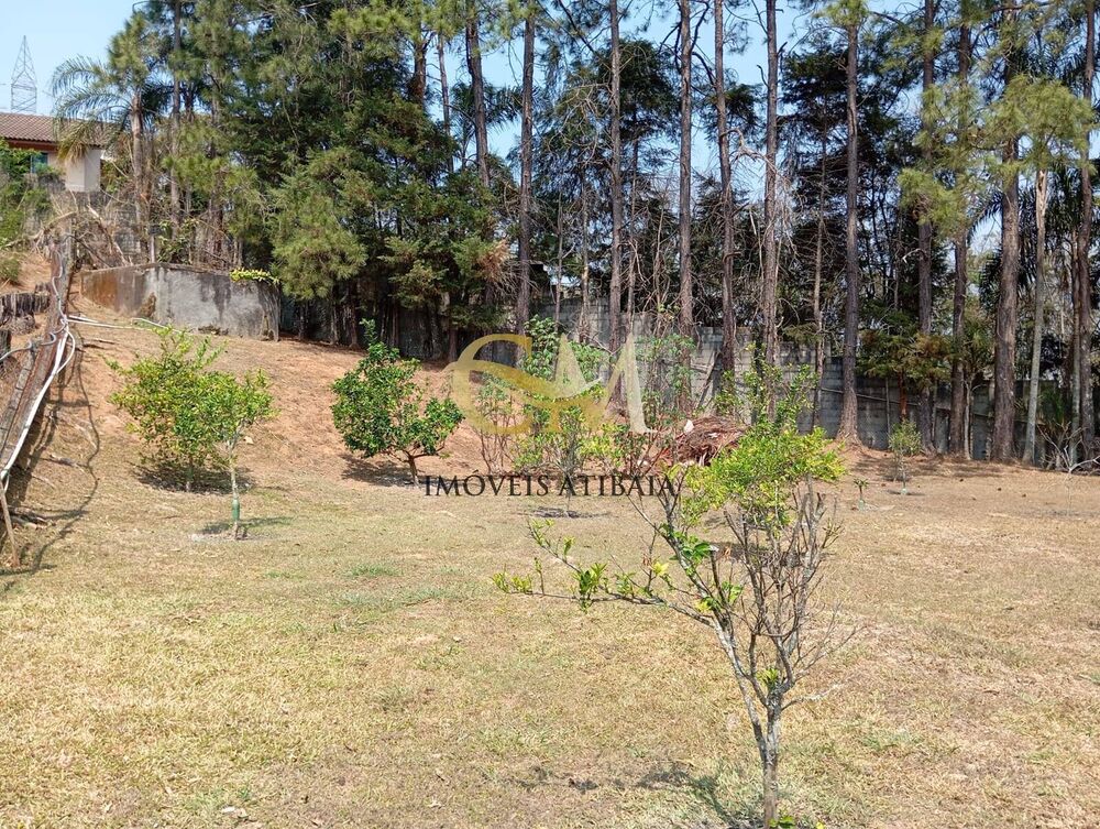 Casa, 7 quartos, 12000 m² - Foto 6