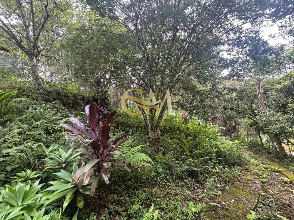 Terreno, 4800 m² - Foto 7