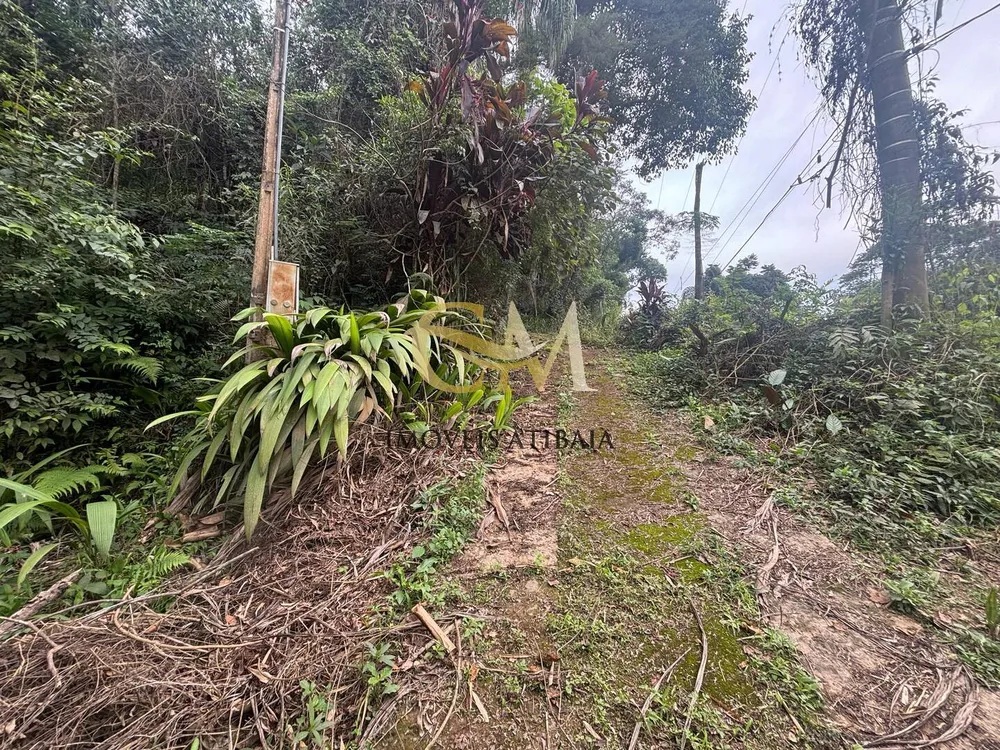 Terreno, 4800 m² - Foto 5