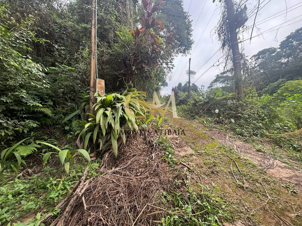 Terreno, 4800 m² - Foto 4