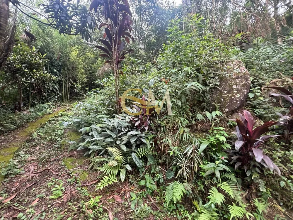 Terreno, 4800 m² - Foto 6