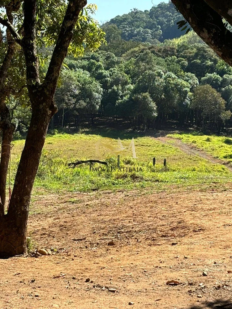 Terreno, 3 hectares - Foto 4