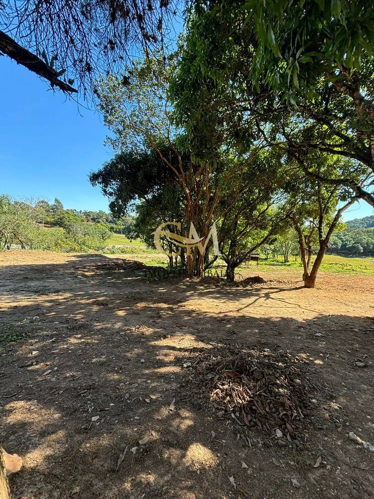 Terreno, 3 hectares - Foto 6