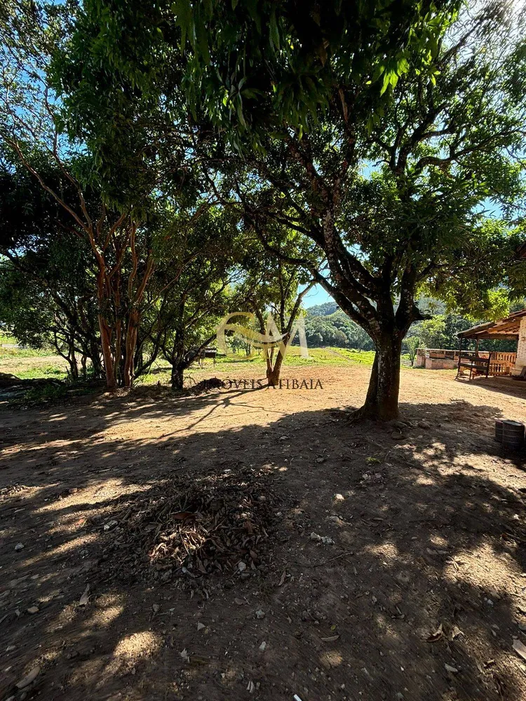 Terreno, 3 hectares - Foto 6