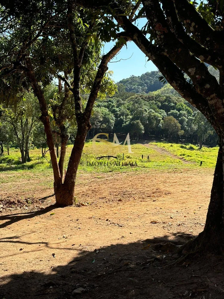 Terreno, 3 hectares - Foto 8