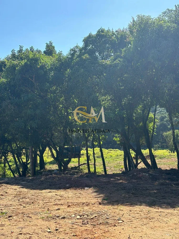 Terreno, 3 hectares - Foto 7