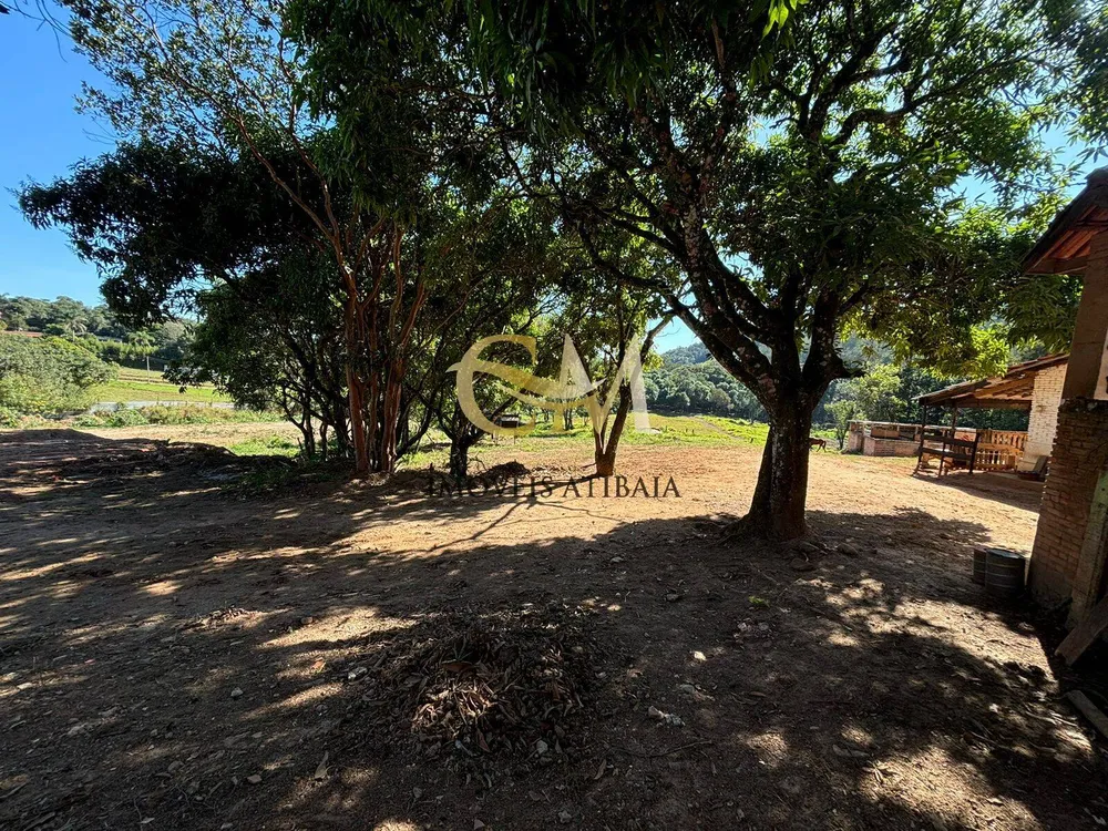 Terreno, 3 hectares - Foto 3