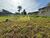 Terreno, 1008 m² - Foto 1