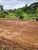 Terreno, 800 m² - Foto 3