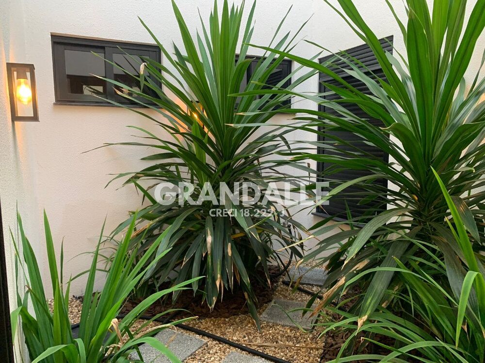 Casa, 3 quartos - Foto 3