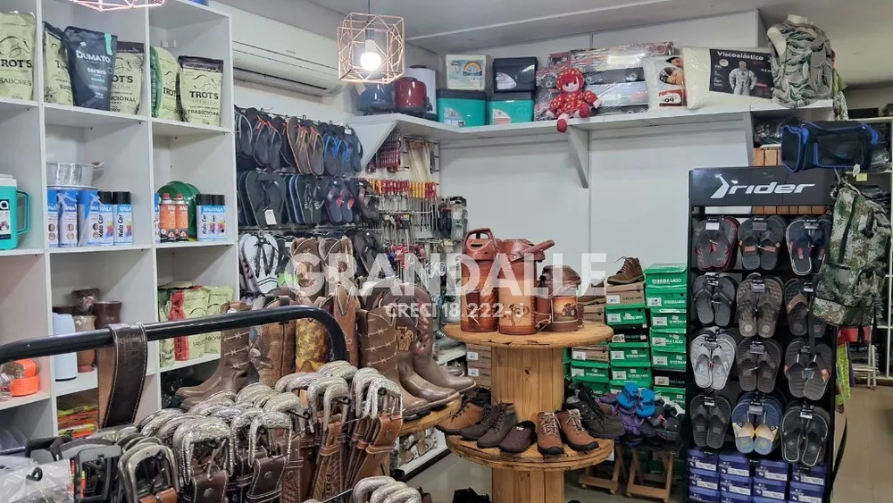 Sala-Conjunto - Foto 6