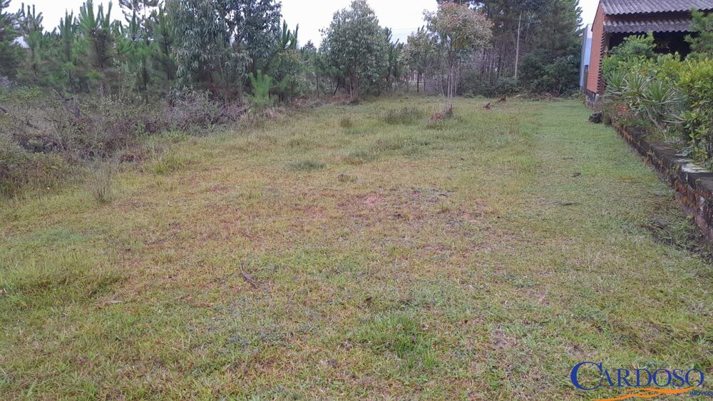 Terreno, 302 m² - Foto 1