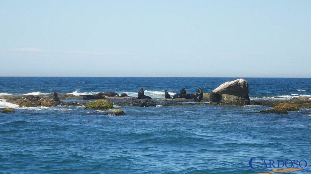 Terreno, 300 m² - Foto 11