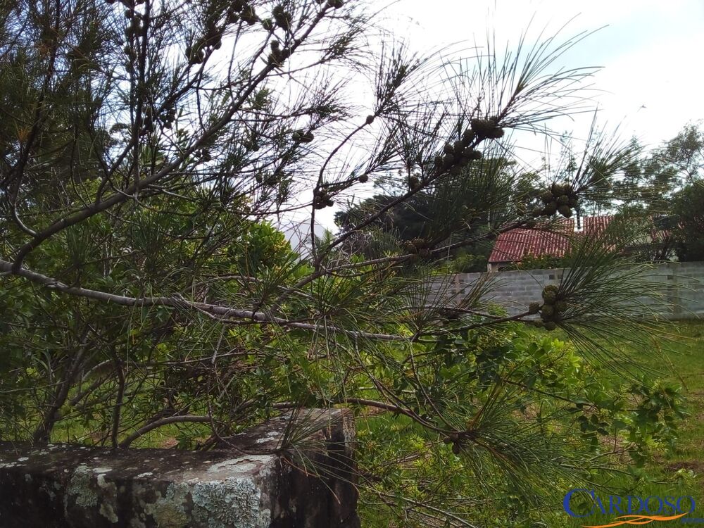 Terreno, 600 m² - Foto 8