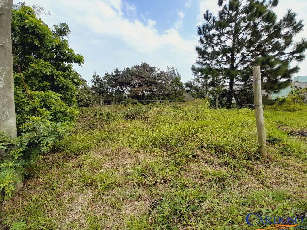 Terreno, 302 m² - Foto 3
