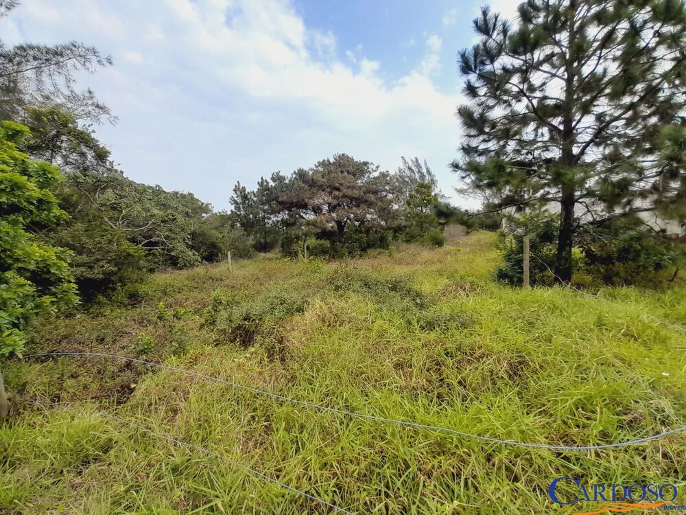 Terreno, 302 m² - Foto 1