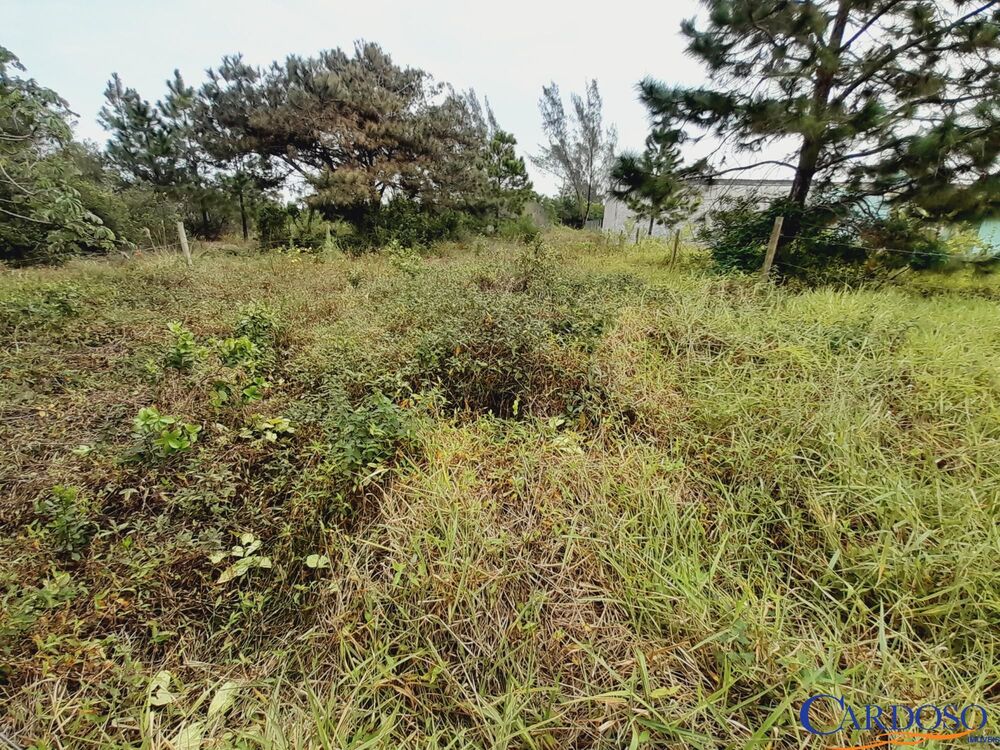 Terreno, 302 m² - Foto 4