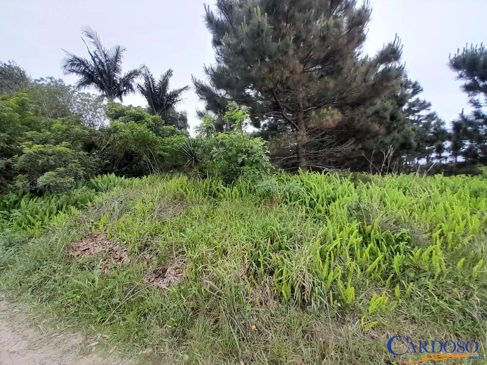 Terreno, 444 m² - Foto 6