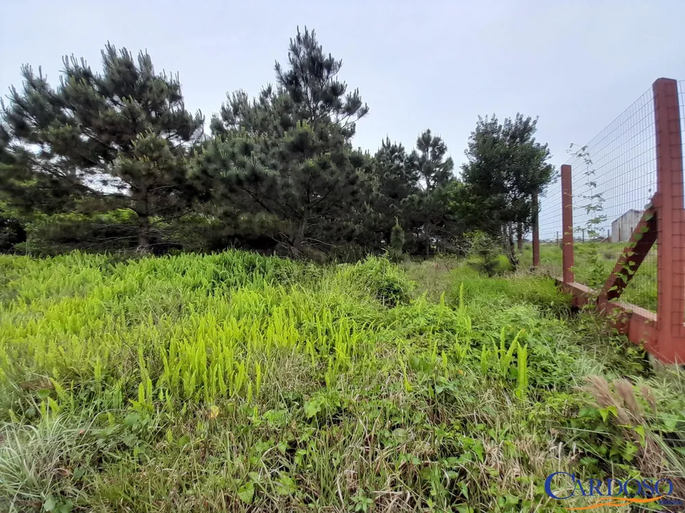 Terreno, 444 m² - Foto 3
