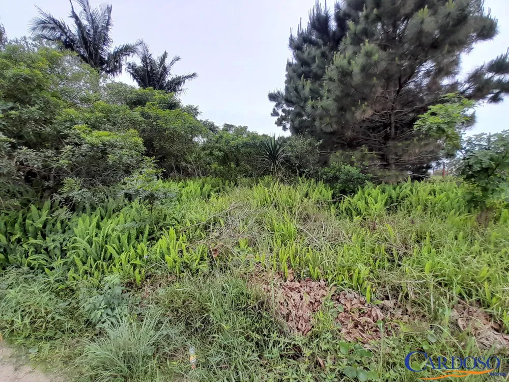Terreno, 444 m² - Foto 6