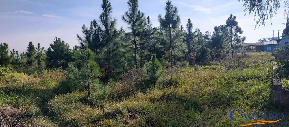 Terreno, 299 m² - Foto 4