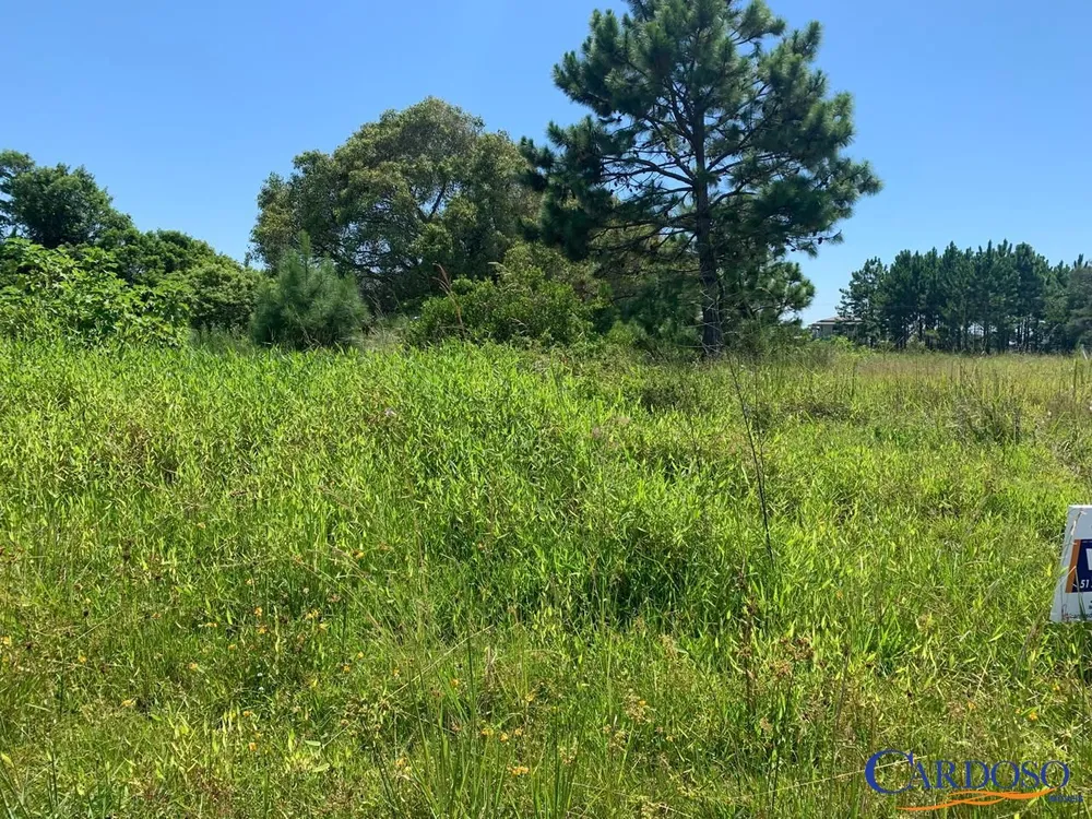 Terreno, 300 m² - Foto 3