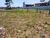 Terreno, 456 m² - Foto 4