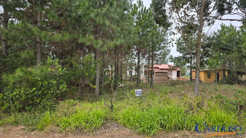 Terreno, 302 m² - Foto 4