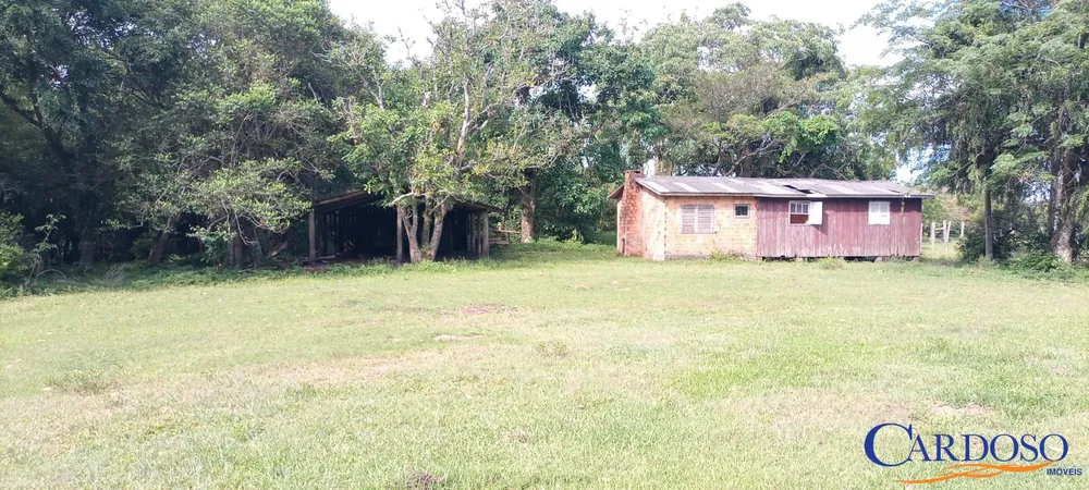 Sítio, 72 hectares - Foto 11