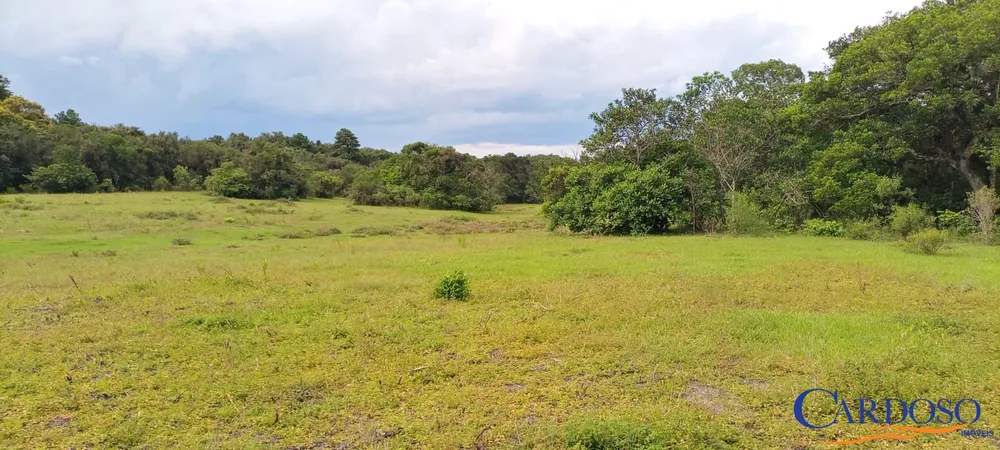 Sítio, 72 hectares - Foto 4