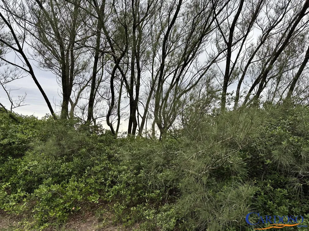 Terreno, 302 m² - Foto 1