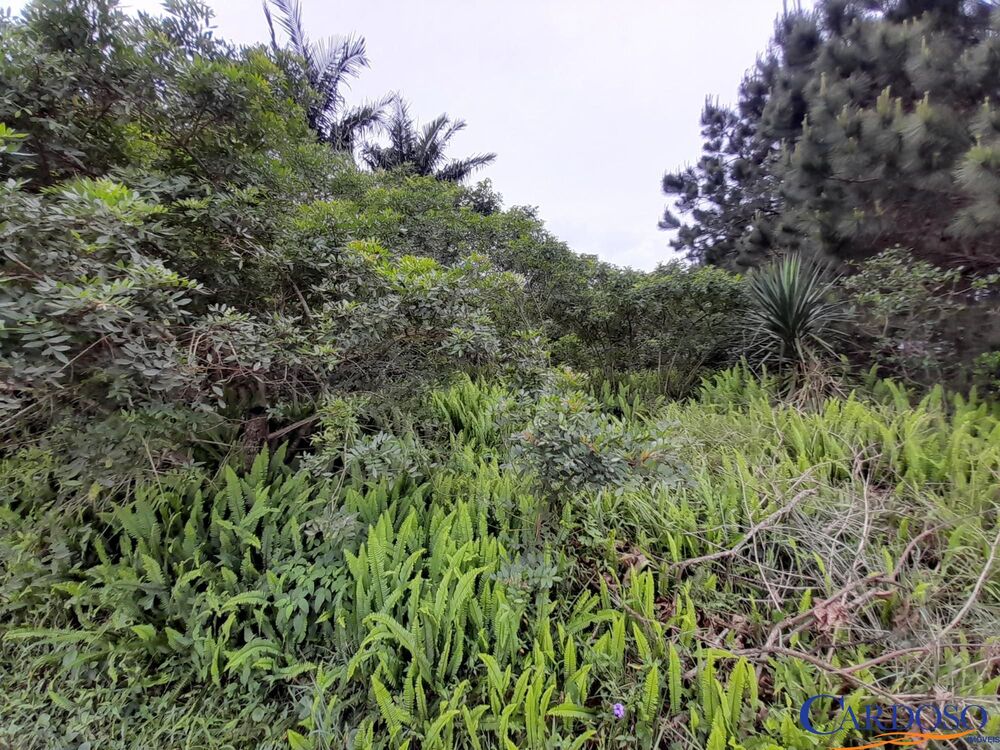 Terreno à venda, 444m² - Foto 6