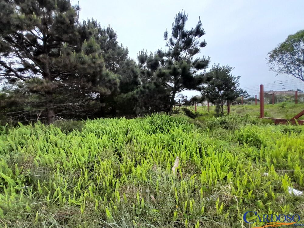 Terreno à venda, 444m² - Foto 2