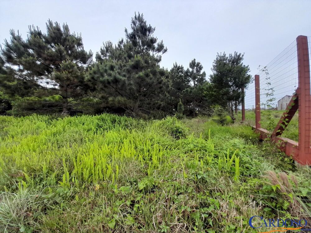Terreno à venda, 444m² - Foto 4