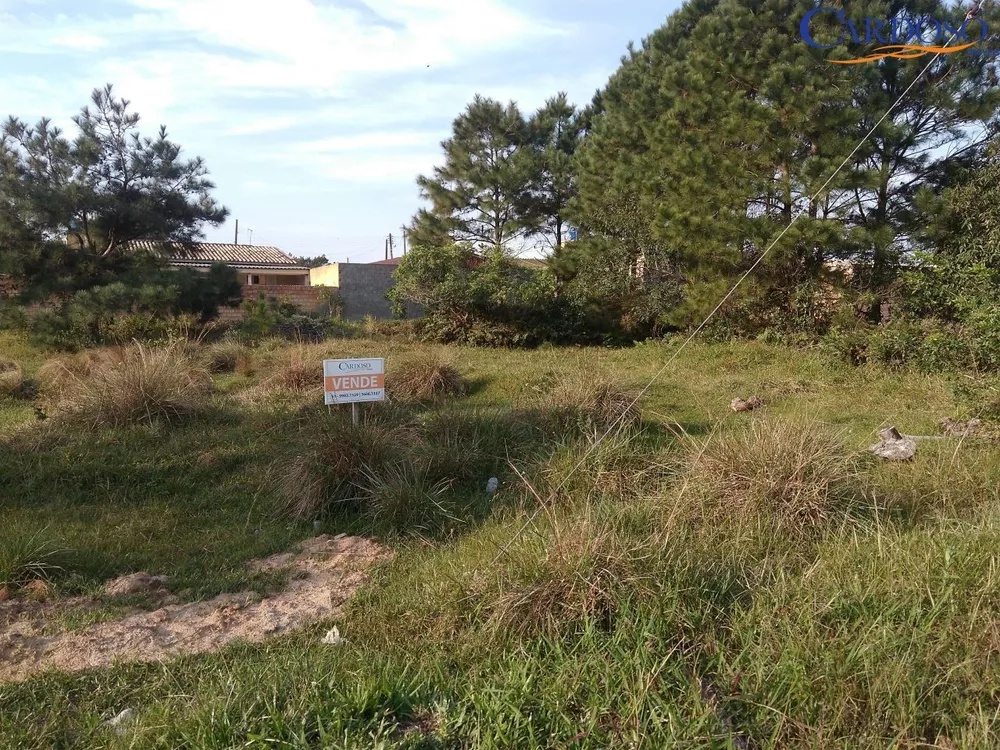 Terreno à venda, 300m² - Foto 2