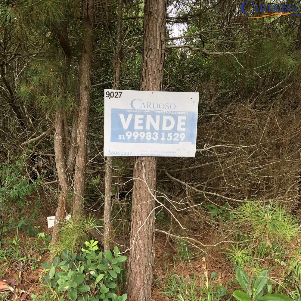 Terreno à venda, 300m² - Foto 3