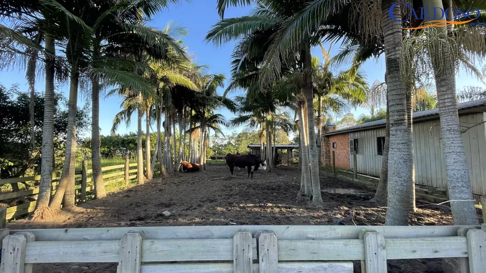 Terreno à venda, 300m² - Foto 2