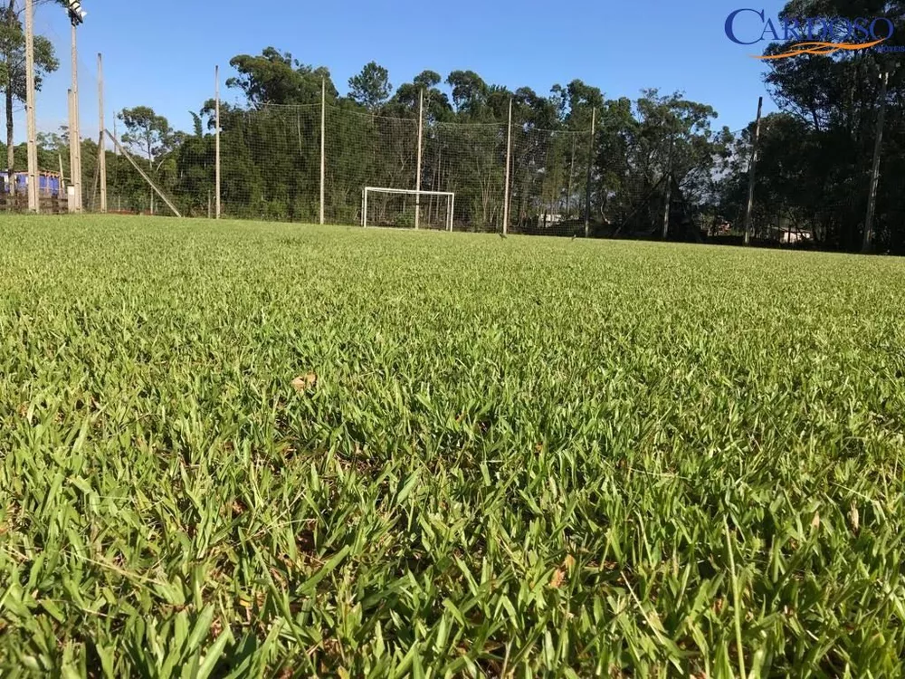 Fazenda à venda com 2 quartos, 6000m² - Foto 4